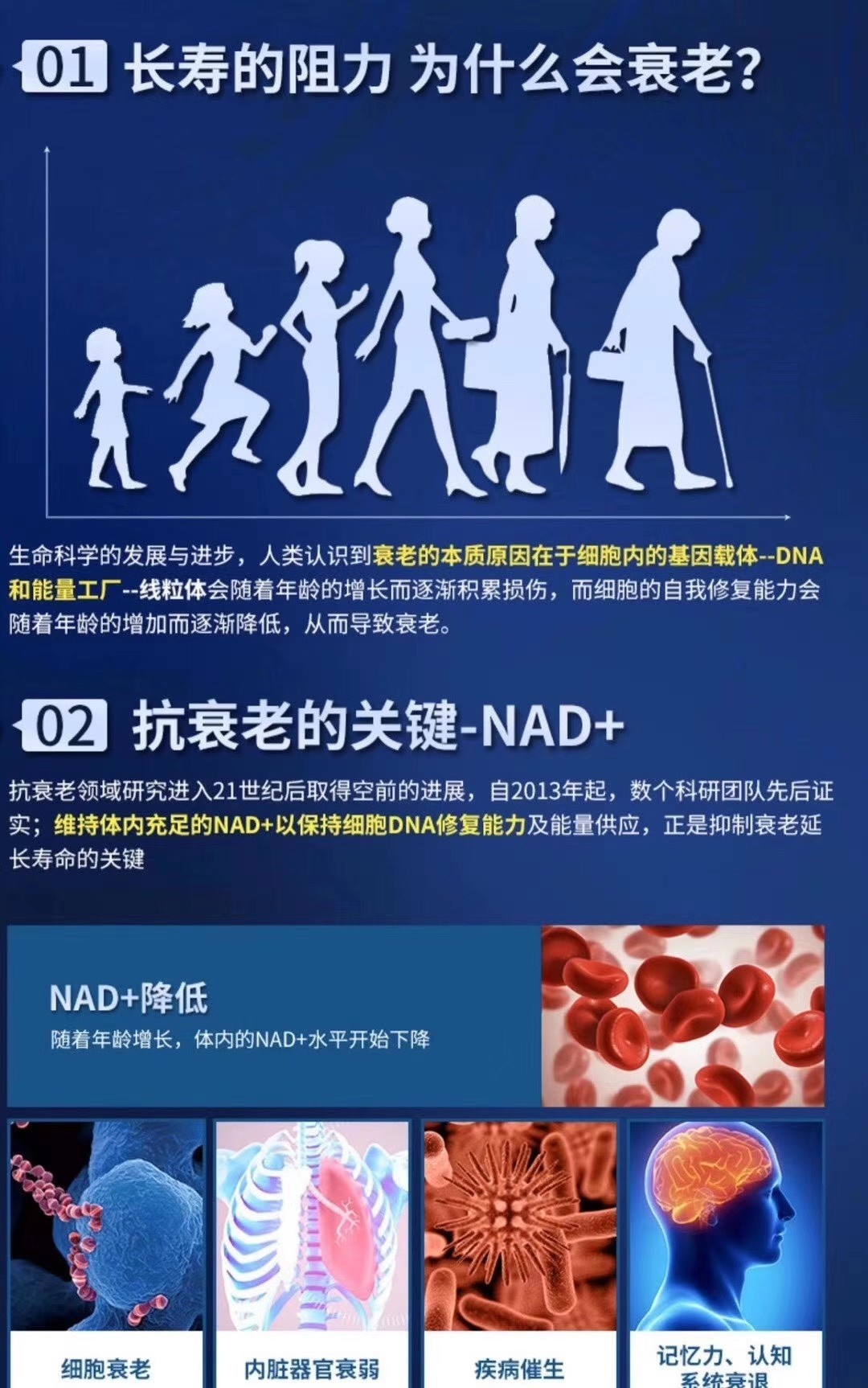 01长寿的阻力 为什么会衰老?02 抗衰老的关键-NAD+
