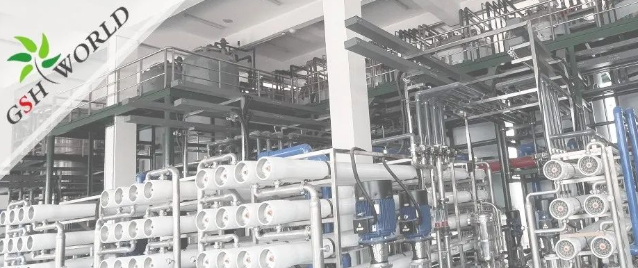 企业动态 - 安庆市区领导对古特生物的生产发展给予充分肯定