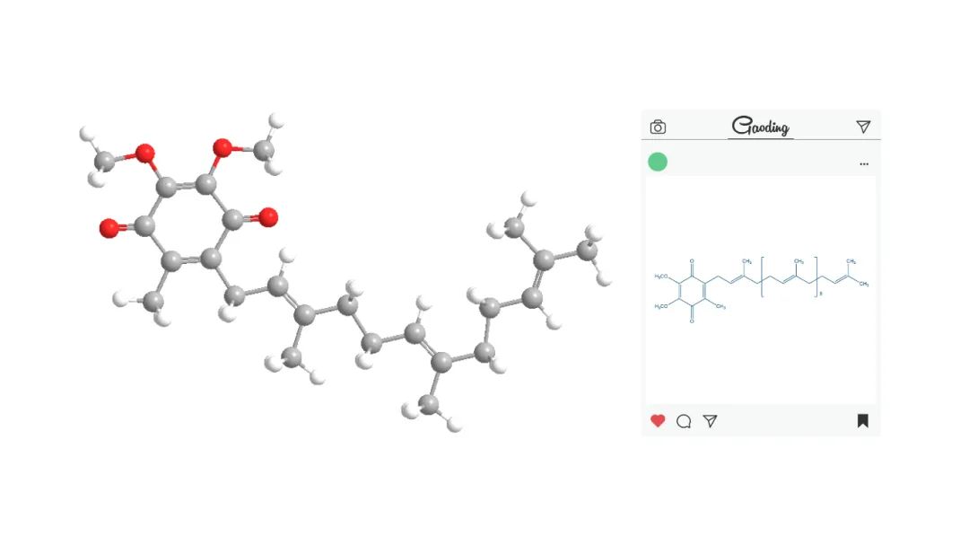 辅酶Q10结构式