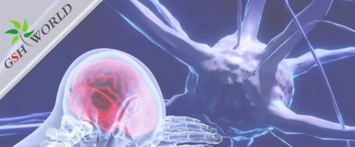 行业关注 - 谷胱甘肽在脑部疾病和衰老中的作用