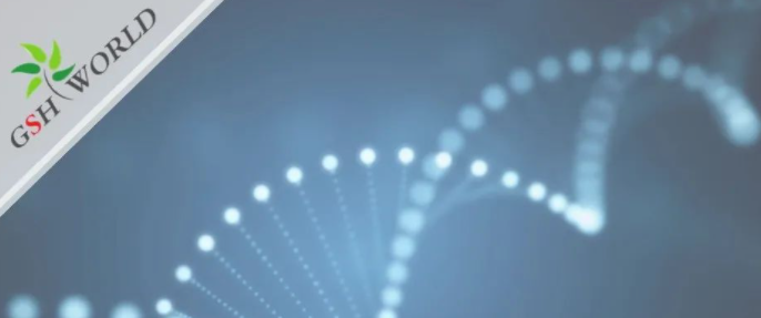 行业关注 - 胞磷胆碱保护大脑的7大好处