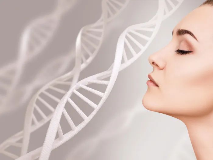 古特生物 古特生物