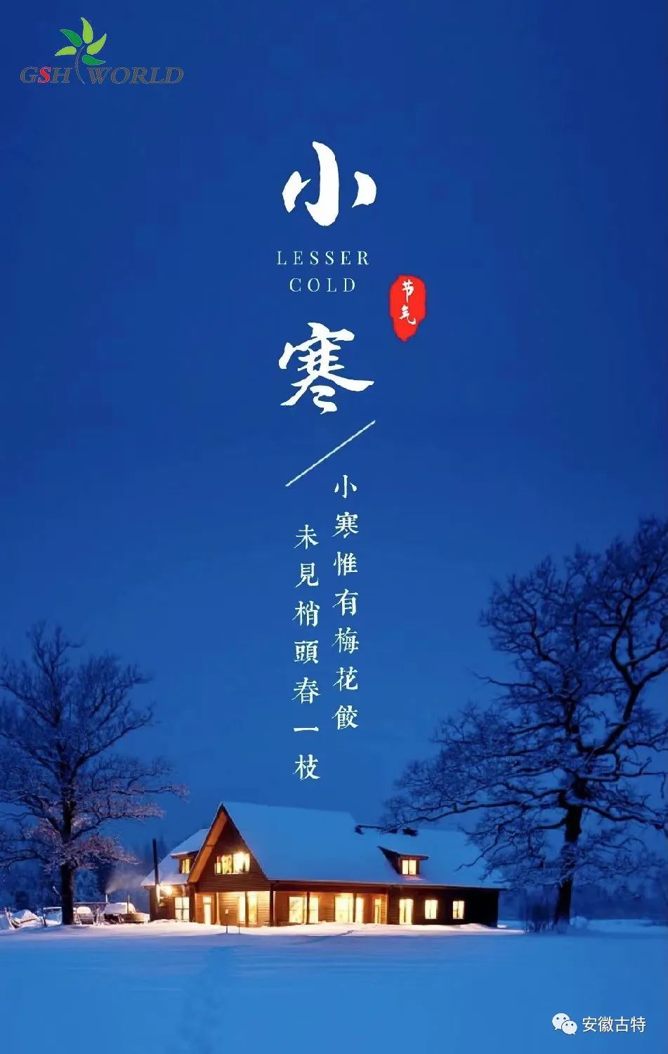 小寒已至 春归有期