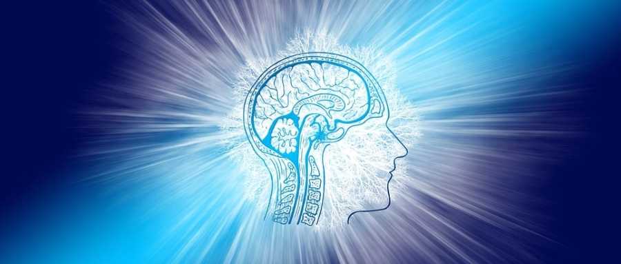 肌肉力量和身体机能的增强