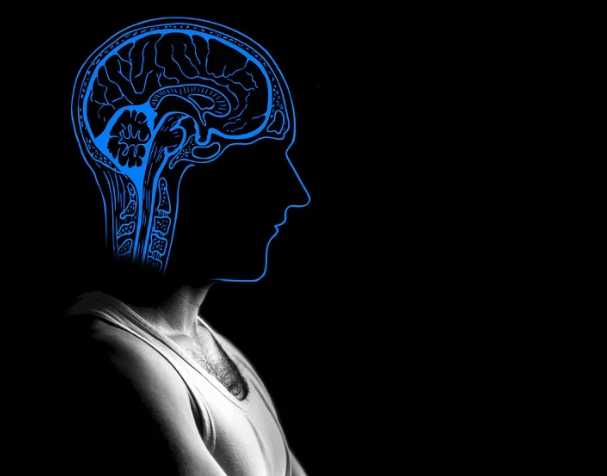 胞磷胆碱跟记忆的关系