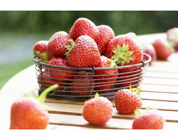 在维持果实营养品质方面，谷胱甘肽表现突出