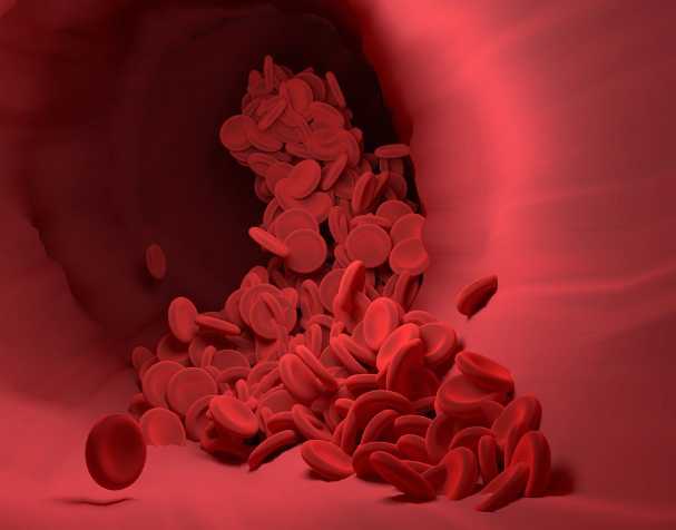 代谢吸收更具优势 代谢吸收更具优势