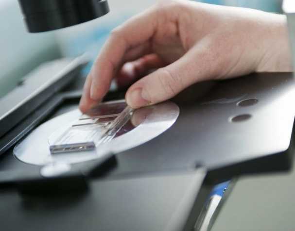 抗氧化特性 抗氧化特性