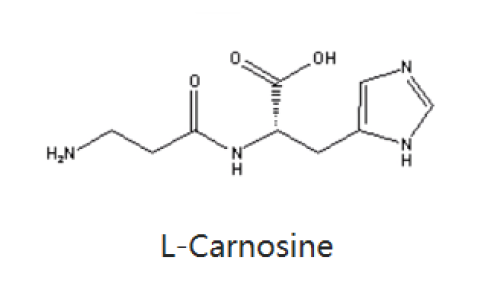 肌肽-化妆品中的应用