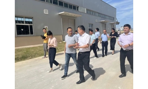 市委常委、副市长吕栋来公司调研