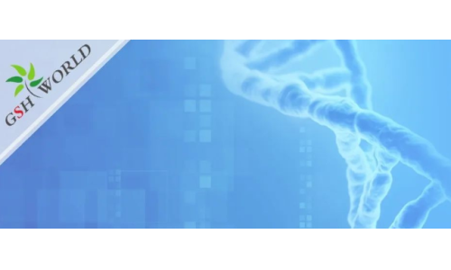 行业关注 - 风靡美国的辅酶Q10到底要不要吃？吃多少合适？