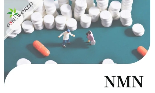 NMN(烟酰胺单核苷酸)的适用人群