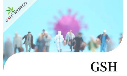 行业关注 - 增强 GSH 可能是对抗新冠疾病的有效疗法