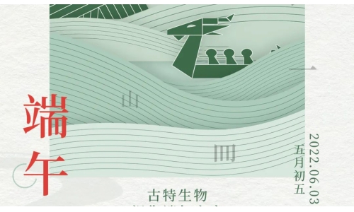 端午 - 争流而上，行舟踏浪