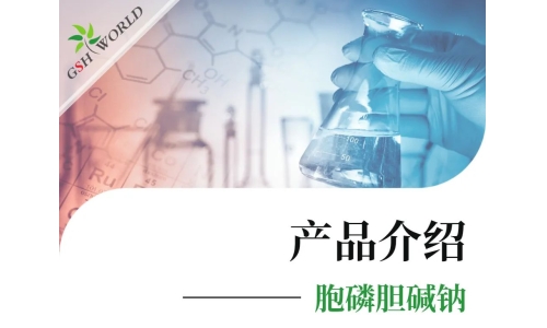 产品介绍 - 胞磷胆碱钠——被广泛应用的神经?；ぜ?></a>
	</div>

		<h4>
			<a href=