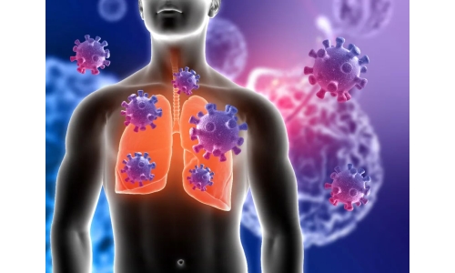 钟南山：6月底将迎来二阳高峰！危害更大？NMN能有效抵御“二阳”！