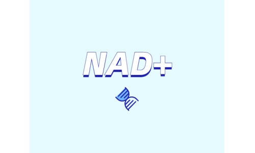 NAD+领域的迅速发展