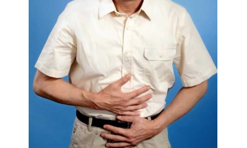 哪些成分对维护肠道健康有效？