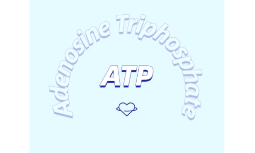 ATP 补充剂有什么作用？