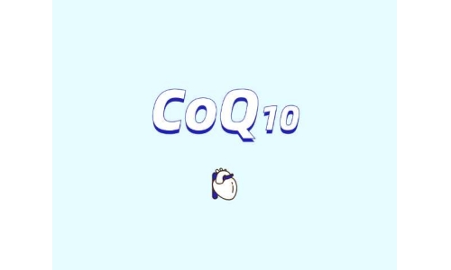 辅酶Q10在肥胖管理中的潜在作用