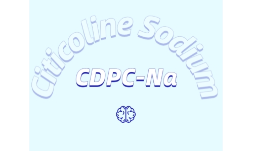 常见的健脑成分都有哪些?