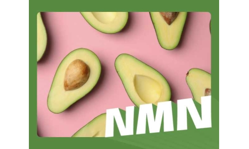 NMN比白藜芦醇更好吗?
