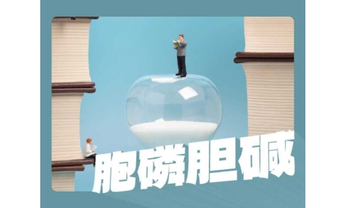 胞磷胆碱比胆碱更好吗？