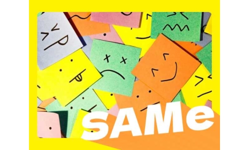 缓解情绪的帮手SAMe